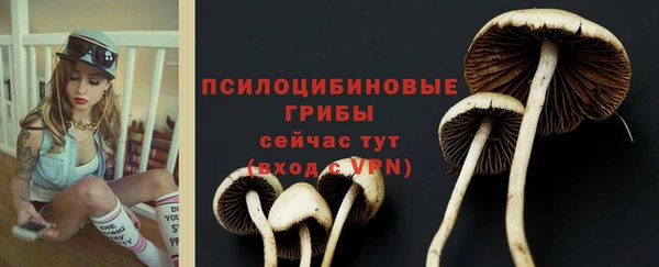 дурь Армянск