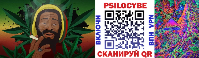 где можно купить наркотик  Геленджик  Галлюциногенные грибы Psilocybe 